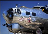 Yankee Lady
